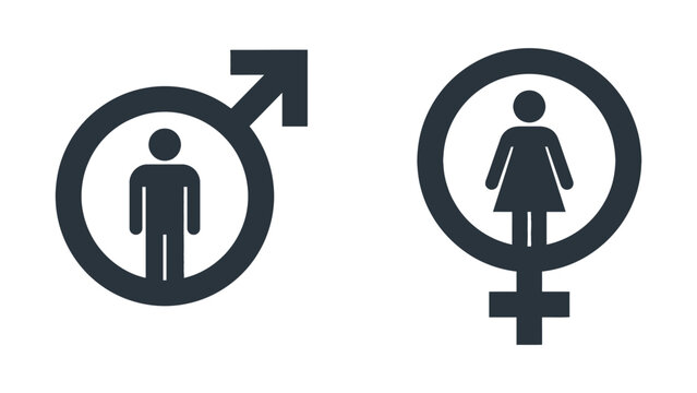 Male and female gender symbols vector illustration with distinct human figure icons inside circles