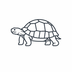 Fototapeta premium Tortoise Art Vector Illustration