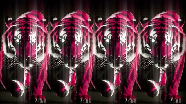 Row of pink and red tigers repeating on black background, fashion pattern seamless VJ loop for showroom