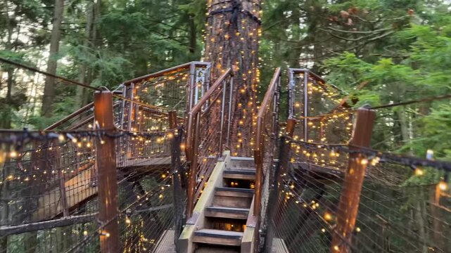 Beautiful Christmas lights in the forest at Capilano Suspension Bridge Park Vancouver, glowing treetop walkways and bridges among tall trees in the evening.