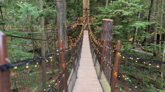 Beautiful Christmas lights in the forest at Capilano Suspension Bridge Park Vancouver, glowing treetop walkways and bridges among tall trees in the evening.