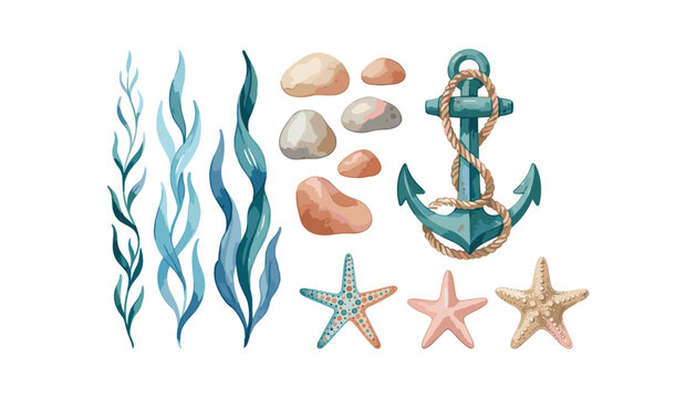 Nautical marine elements vector set featuring anchor with rope seaweed kelp smooth sea stones and starfish collection