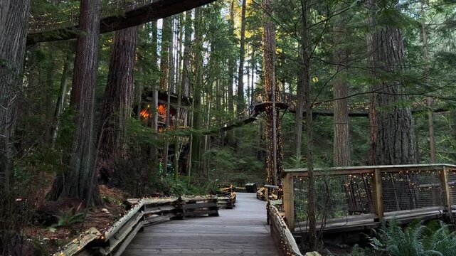 Treetop walkways and platforms wrapped in Christmas lights at Capilano Suspension Bridge Park in Vancouver, wooden paths through a tall forest at dusk.