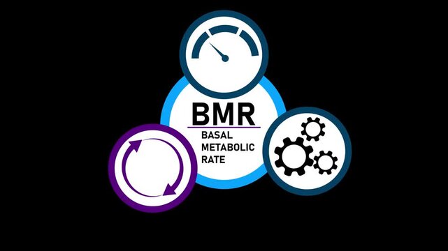 Bmr basal metabolic rate concept animation with health and fitness for medical and wellness education