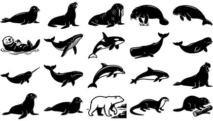 Marine Mammals Set with Various Poses and Species Featuring Aquatic, Animals © Mstkohenur