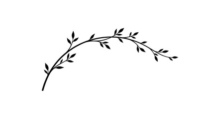 Fototapeta premium Black curved branch silhouette with leaves on white background