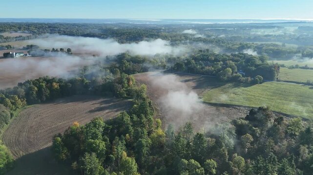 Morning fog over tree tops and farmers fields. Located in Upstate New York in the Finger Lakes region.