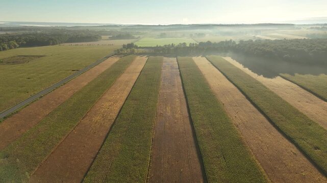 Drone clip pull of a crop field in upstate New York near Ithaca and Trumansburg in the Finger Lakes region.