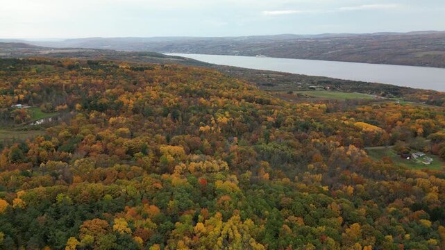 Drone clip of Cayuga Lake in the Fall.