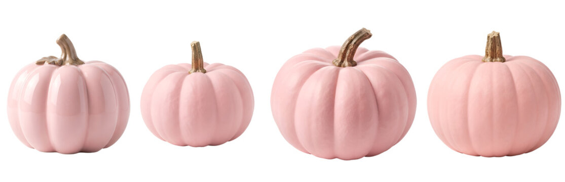 Pastel pink ceramic pumpkins arranged in a horizontal line showcasing different decorative autumn shapes and glossy textures isolated on transparent background