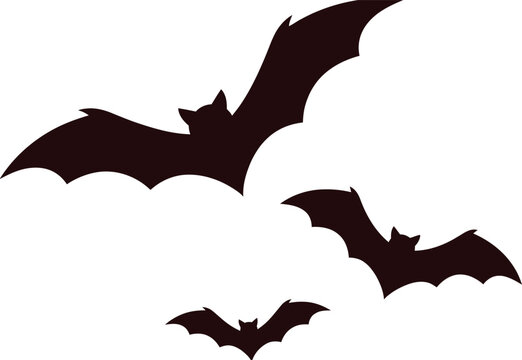 Three dark brown bat silhouettes flying against a white background for halloween decorations and spooky themed designs