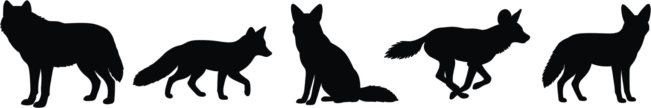 Wolf silhouette collection featuring standing, walking, sitting and running wild canines isolated on a white background