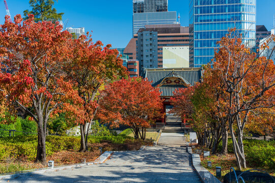 Minato, Tokyo, Japan - November 26, 2025 : Former Taitoku-in Mausoleum Somon gate surrounded by autumn leaves in Shiba Park.
