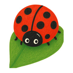 ladybug on green leaf © Retno