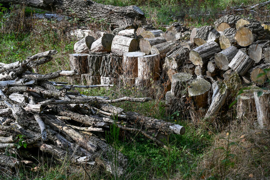 st&egrave;res de bois sec coup&eacute; pour le chauffage