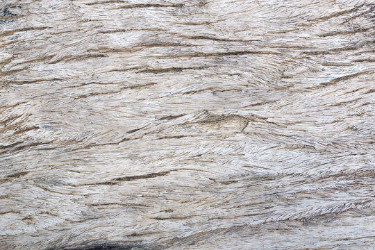 Close up of weathered old wooden board texture surface for background.