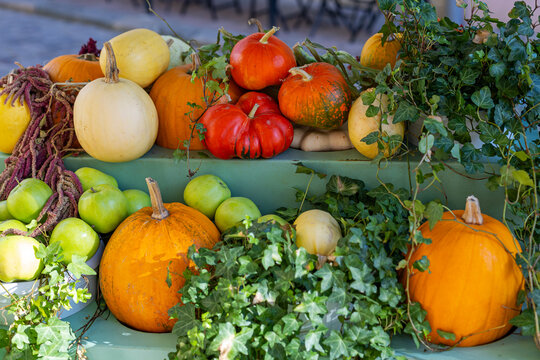 Colorful pumpkins and green apples arranged with ivy on rustic autumn display, seasonal harvest decoration with vibrant natural produce.