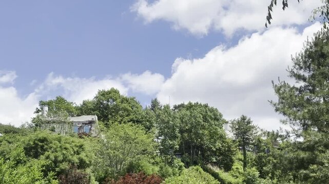 Low angle view of white clouds drifting across blue sky above lush green trees
