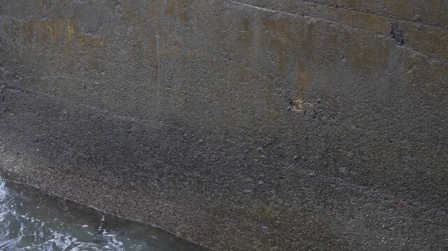 Foamy waves collide with coastal rocks under natural light as small black crabs scatter and regroup, demonstrating resilience and adaptability in a constantly shifting shoreline environment.