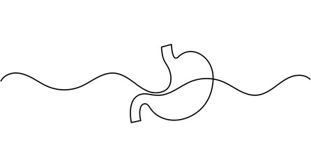 Obraz premium Stomach continuous one line drawing simple minimalist human organ outline editable stroke vector illustration