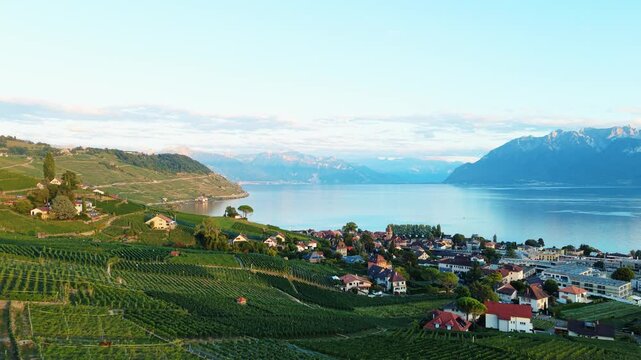 Drone descends over Lavaux vineyards toward Cully village, Lake Geneva