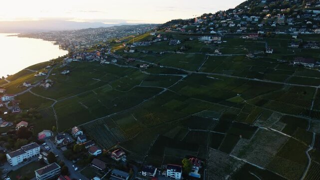 Drone advances high above Lavaux vineyards at sunset near Cully, Switzerland