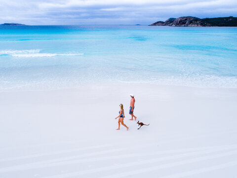 Australians with pet kangaroo at the beach