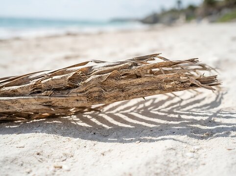 IA generated palm tree leaf shadow cast on white sand beach with sunny turquoise ocean background.