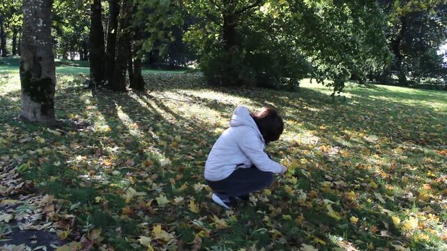 Beautiful Mature Woman Collecting Yellow Autumn Leaves in Forest.

