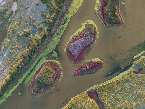 Top-down aerial view of colorful salt marsh islets surrounded by red glasswort, green algae, and tidal lagoon waters at Cuckmere Haven near Seaford, East Sussex, England