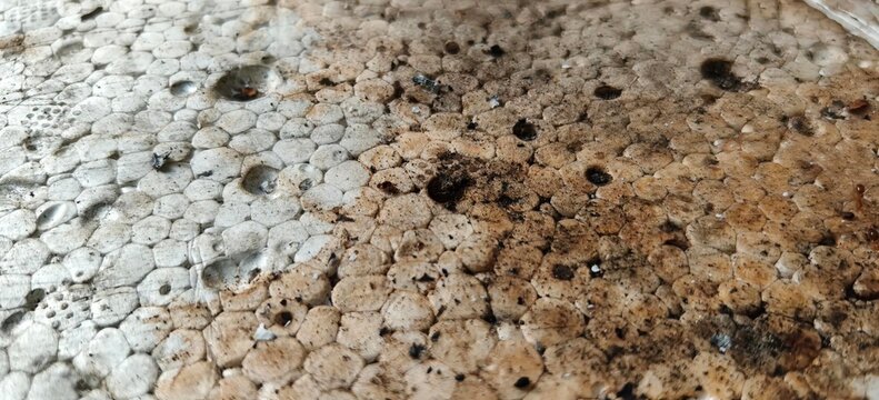Close up detailed texture of dirty weathered styrofoam surface with rough expanded polystyrene grain.