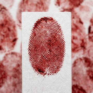 Close up of a red fingerprint on white paper forensic investigation identity evidence crime scene security personal data mystery criminalistics