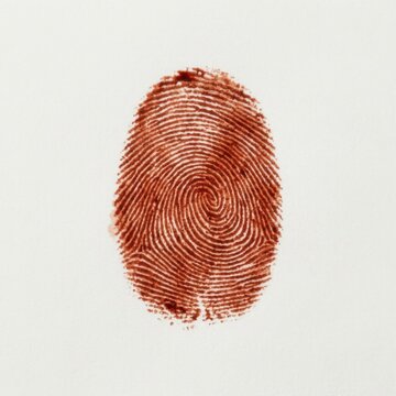Close up of a red fingerprint impression on a white background detailed whorl pattern identity forensic science concept