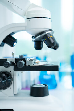 Scientist use magnifying glass to check physical occur from chemical on fruit and whole grains  residues in laboratory. inspect the concentration of chemical residues, standard, find prohibited