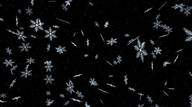 枝分かれ形の繊細な雪結晶が漆黒空間をゆっくり舞い続ける10秒4Kループ動画。冬の広告やクリスマスカード、イベント背景に最適なシネマティック素材