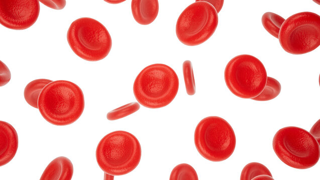 Red blood cells floating, isolated on transparent background