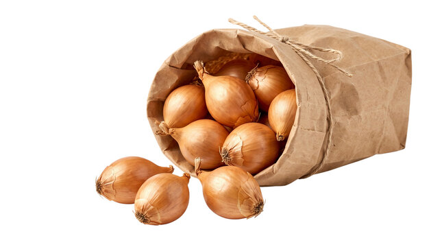 Fresh Yellow Onions Spilling from Brown Kraft Paper Bag Raw Organic Cooking Vegetables Isolated on Transparent Background