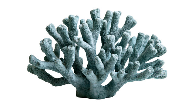 Blue branched staghorn coral structure with porous texture