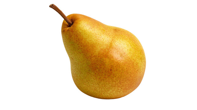 Ripe yellow Bosc pear with brown stem and textured skin