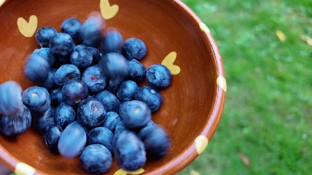 Large quantity of fresh blueberries falling into a decorative wooden bowl in slow motion.