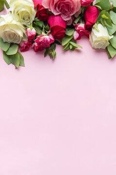 Romantic floral border with pink and white roses