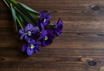 Fototapeta premium Spring renewal and floral beauty, purple pansy flowers on a rustic dark wooden table for home decor and seasonal greeting card background design