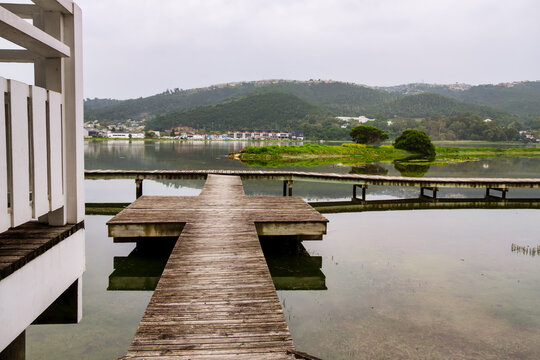 Wooden Boardwalk Crossing Junction Over Green Salt Marsh Wetland, Knysna, South Africa