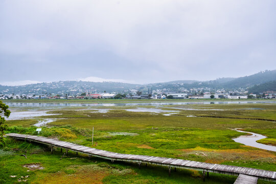 Wooden Boardwalk Network Over Knysna Estuarine Salt Marsh with Waterfront Houses and Misty Hills