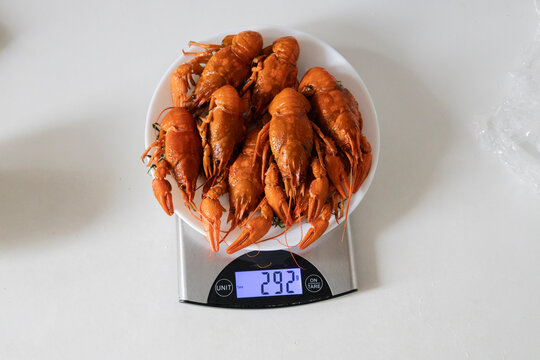A top view of delicious red boiled crawfish on a plate placed over digital kitchen scales showing 292 grams. Healthy seafood meal preparation, portion control, cooking and dieting concept photography.