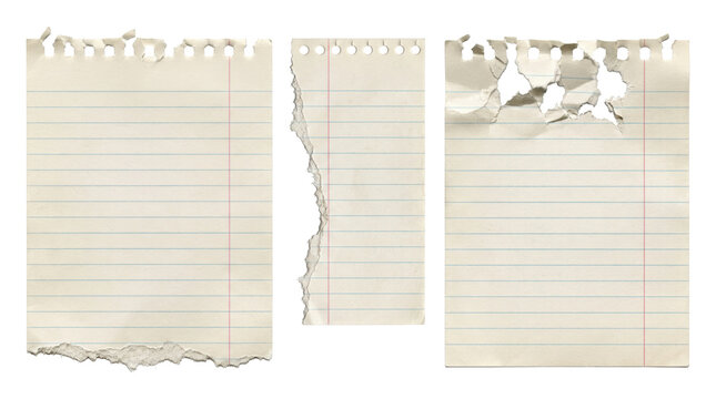 Damaged ripped lined notebook paper sheets isolated