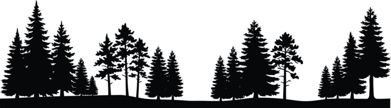 Horizontal black silhouette banner of pine forest trees and wild conifer woods on white background