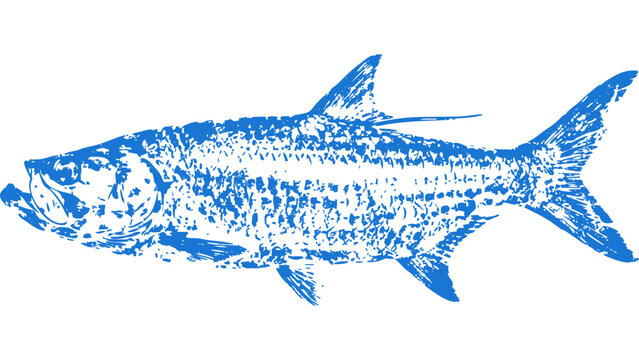 Atlantic tarpon Gyotaku fishing ink print 009