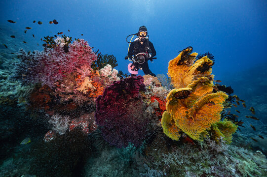 Underwater photographer exploring a vibrant coral reef