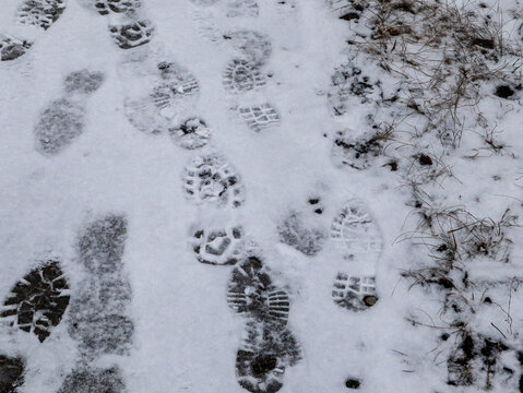 Footprints in Fresh Winter Snow